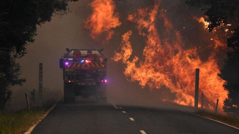Kebakaran Hutan Australia
